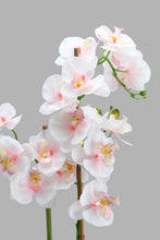 تنزيل الصورة على معرض الصور، Redtag-White-Artificial-Orchids-In-Ceramic-Vase-Artificial-Plants-Home-Decor-
