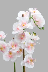 Redtag-White-Artificial-Orchids-In-Ceramic-Vase-Artificial-Plants-Home-Decor-