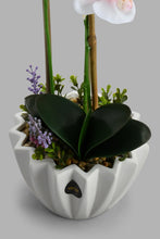 تنزيل الصورة على معرض الصور، Redtag-White-Artificial-Orchids-In-Ceramic-Vase-Artificial-Plants-Home-Decor-
