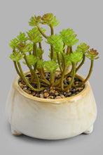 Load image into Gallery viewer, Redtag-White-Ceramic-Pot-With-Artificial-Succulent-Artificial-Plants-Home-Decor-
