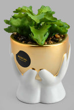 Load image into Gallery viewer, Redtag-Gold-Ceramic-Pot-With-Artificial-Succulent-Artificial-Plants-Home-Decor-
