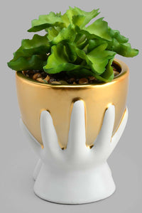 Redtag-Gold-Ceramic-Pot-With-Artificial-Succulent-Artificial-Plants-Home-Decor-