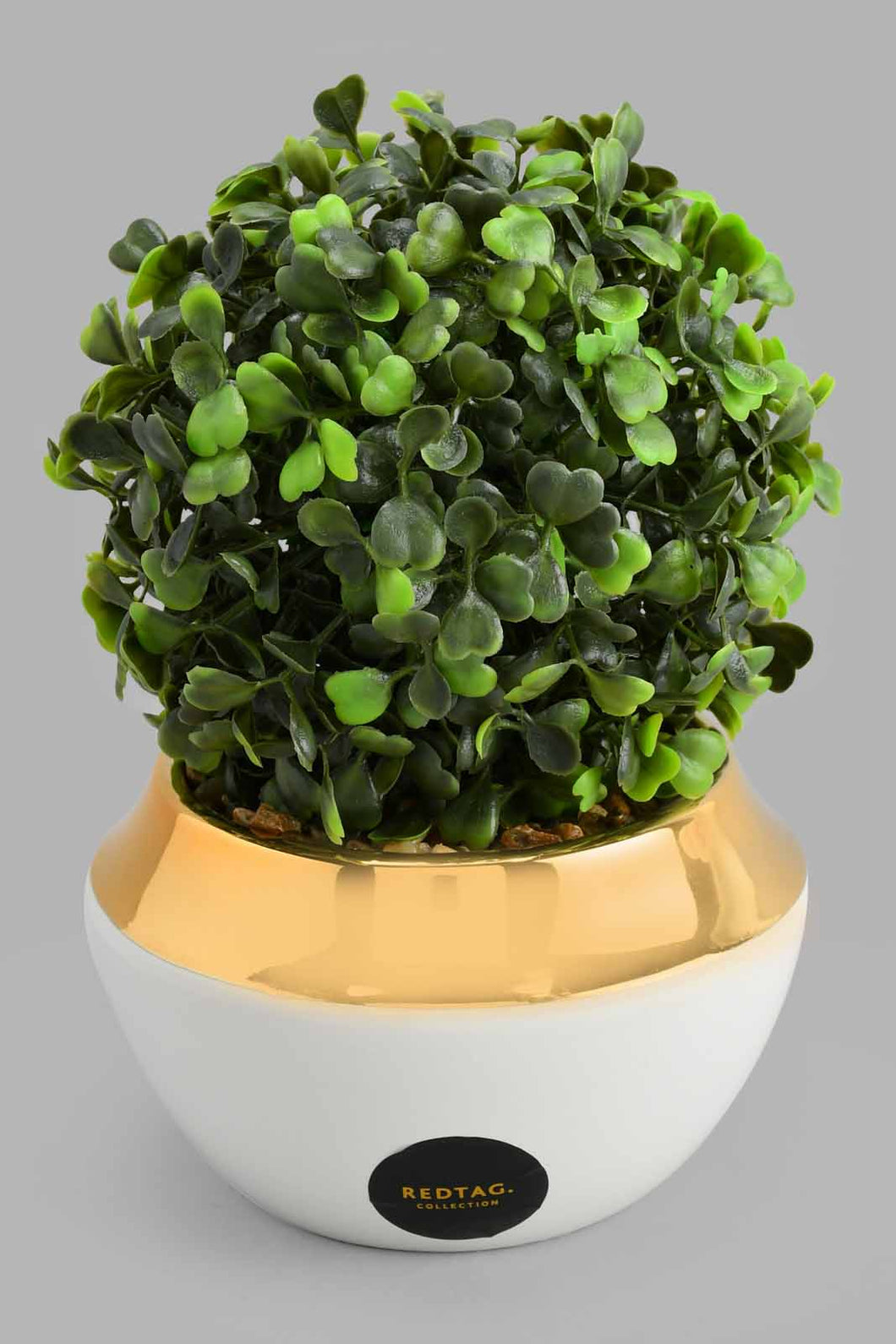 Redtag-Gold-Ceramic-Pot-With-Artificial-Succulent-Artificial-Plants-Home-Decor-