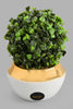 Redtag-Gold-Ceramic-Pot-With-Artificial-Succulent-Artificial-Plants-Home-Decor-