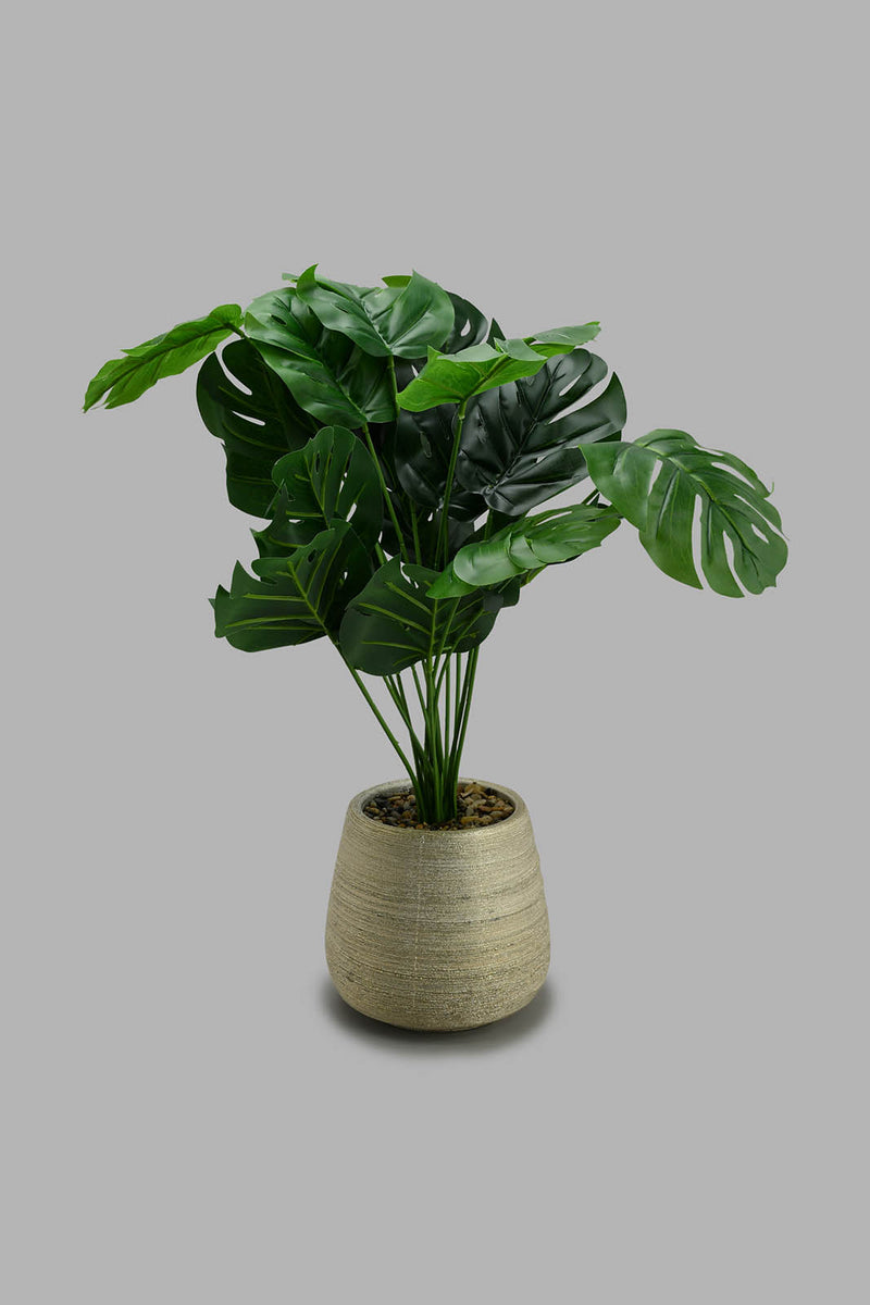 Redtag-Gold-Artificial-Plant-in-Ceramic-Pot-Artificial-Plants-Home-Decor-