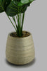 Redtag-Gold-Artificial-Plant-in-Ceramic-Pot-Artificial-Plants-Home-Decor-