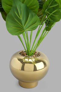 Redtag-Gold-Artificial-Plant-In-Ceramic-Pot-Artificial-Plants-Home-Decor-