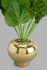 Redtag-Gold-Artificial-Plant-In-Ceramic-Pot-Artificial-Plants-Home-Decor-