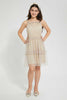 Redtag-Beige/Gold-Mesh-Dress-Dresses-Senior-Girls-9 to 14 Years