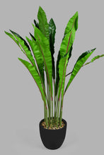 Load image into Gallery viewer, Redtag-Artificial-Bigplant-In-Black-Ribbed-Pot-Artificial-Plants-Home-Decor-
