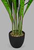 Redtag-Artificial-Bigplant-In-Black-Ribbed-Pot-Artificial-Plants-Home-Decor-