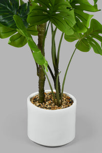 Redtag-Artificial-Bigplant-In-White-Pot-With-Stand-Artificial-Plants-Home-Decor-