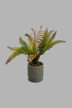 Load image into Gallery viewer, Redtag-Grey-Artificial-Plant-In-Ceramic-Pot-Artificial-Plants-Home-Decor-
