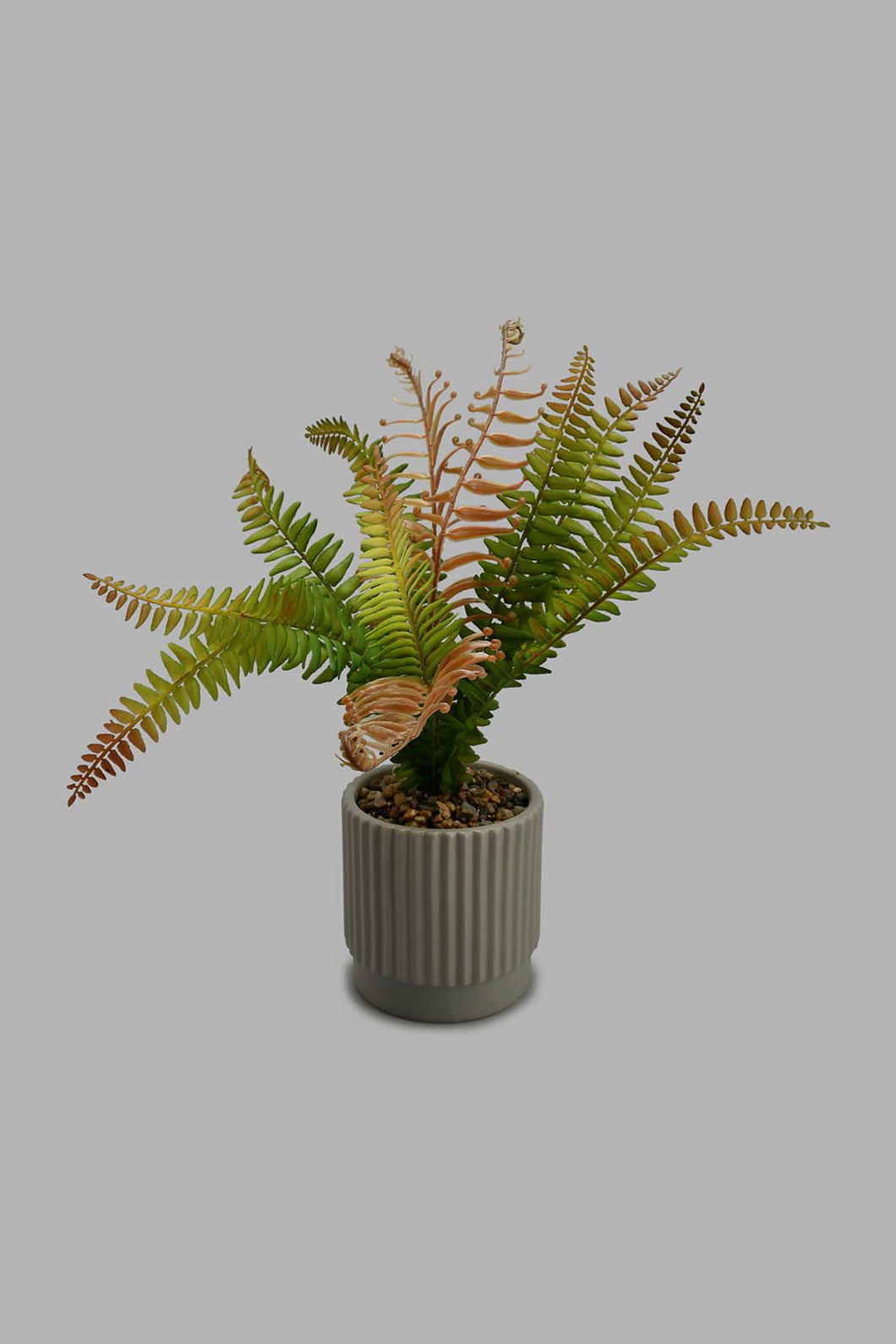 Redtag-Grey-Artificial-Plant-In-Ceramic-Pot-Artificial-Plants-Home-Decor-