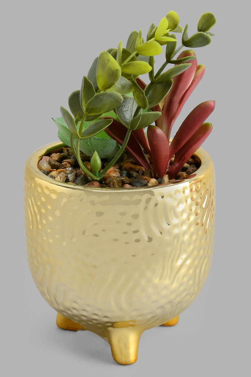 Redtag-Gold-Ceramic-Pot-With-Artificial-Succulent-Artificial-Plants-Home-Decor-