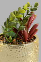 Load image into Gallery viewer, Redtag-Gold-Ceramic-Pot-With-Artificial-Succulent-Artificial-Plants-Home-Decor-
