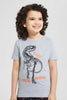 Redtag-Grey-T-Rex-Chest-Print-T-Shirt-Graphic-T-Shirts-Boys-2 to 8 Years