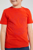 Redtag-Orange-Ss-Lion-Graphic-T-Shirt-Graphic-T-Shirts-Boys-2 to 8 Years
