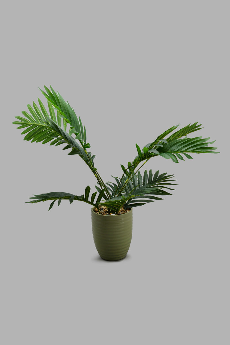 Redtag-Artificial-Plant-In-Green-Ceramic-Pot-Category:Plants-&-Flowers,-Colour:Green,-Filter:Home-Decor,-HARMONY,-HMW-HOM-Decorative-Accessories,-New-In,-New-In-HMW-HOM,-Non-Sale,-S22C,-Section:Homewares-Home-Decor-