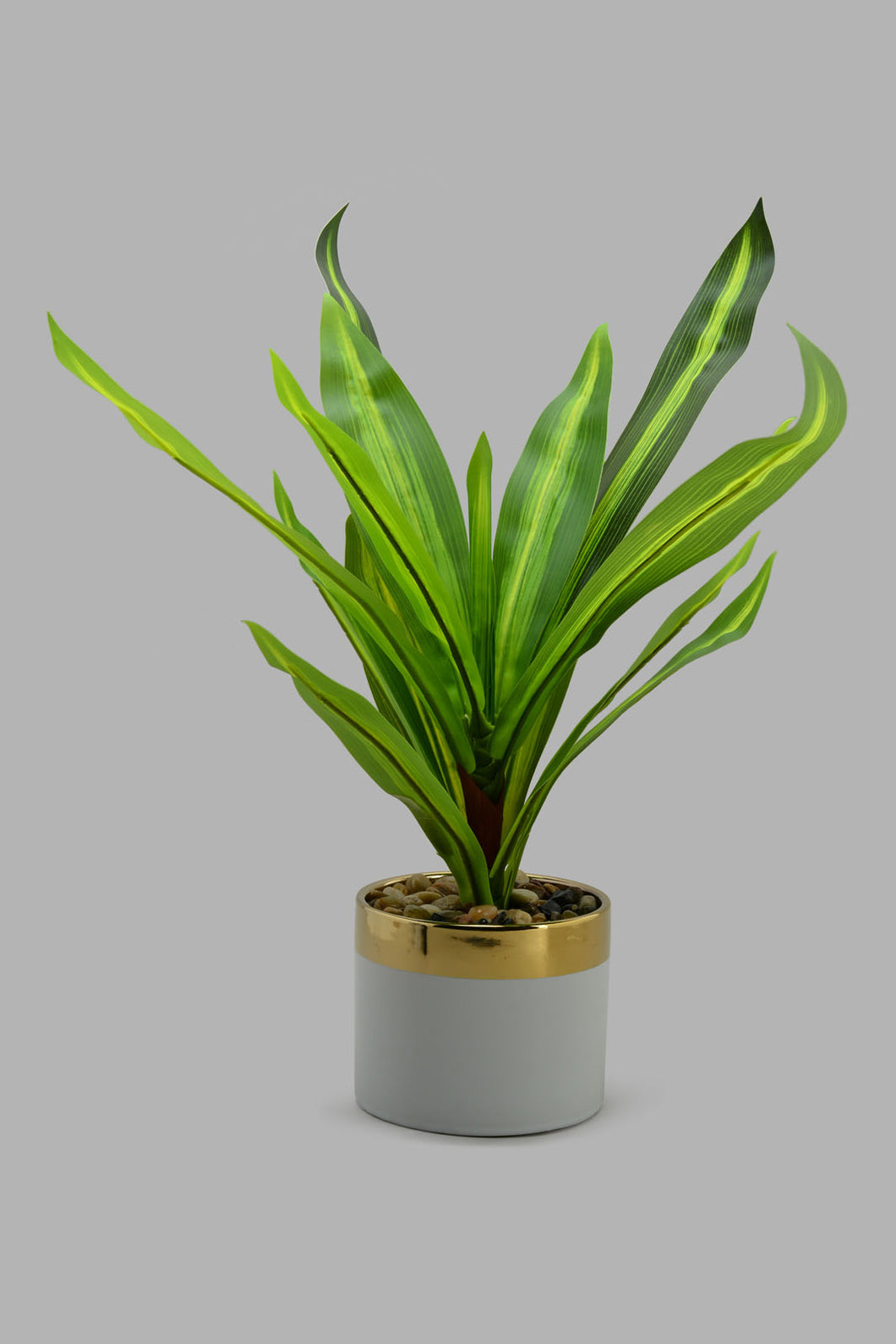 Redtag-Artificial-Plant-In-White-Gold-Ceramic-Pot-Category:Plants-&-Flowers,-Colour:White,-Filter:Home-Decor,-HARMONY,-HMW-HOM-Decorative-Accessories,-New-In,-New-In-HMW-HOM,-Non-Sale,-S22C,-Section:Homewares-Home-Decor-