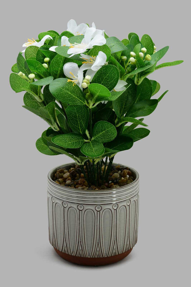 Redtag-Artificial-Plant-In-Brown-Pattern-Ceramic-Pot-Category:Plants-&-Flowers,-Colour:Brown,-Filter:Home-Decor,-HARMONY,-HMW-HOM-Decorative-Accessories,-New-In,-New-In-HMW-HOM,-Non-Sale,-S22C,-Section:Homewares-Home-Decor-