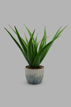 Load image into Gallery viewer, Redtag-Artificial-Plant-In-White-Ceramic-Pot-Category:Plants-&amp;-Flowers,-Colour:White,-Filter:Home-Decor,-HARMONY,-HMW-HOM-Decorative-Accessories,-New-In,-New-In-HMW-HOM,-Non-Sale,-S22C,-Section:Homewares-Home-Decor-
