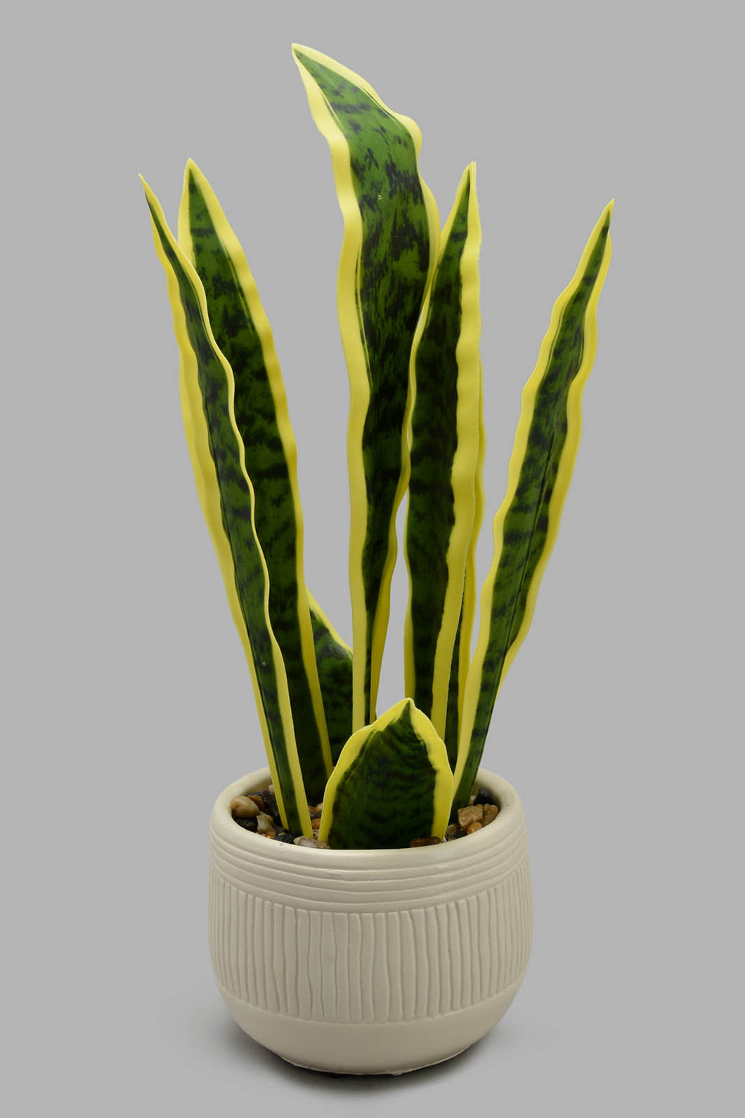 Redtag-Artificial-Snake-Plant-In-White-Stripe-Ceramic-Pot-Category:Plants-&-Flowers,-Colour:White,-Filter:Home-Decor,-HARMONY,-HMW-HOM-Decorative-Accessories,-New-In,-New-In-HMW-HOM,-Non-Sale,-S22C,-Section:Homewares-Home-Decor-