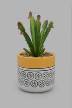 Load image into Gallery viewer, Redtag-Artificial-Cactus-In-Ceramic-Pot-Category:Plants-&amp;-Flowers,-Colour:Multicolour,-Filter:Home-Decor,-HMW-HOM-Decorative-Accessories,-New-In,-New-In-HMW-HOM,-Non-Sale,-Section:Homewares,-W22O-Home-Decor-
