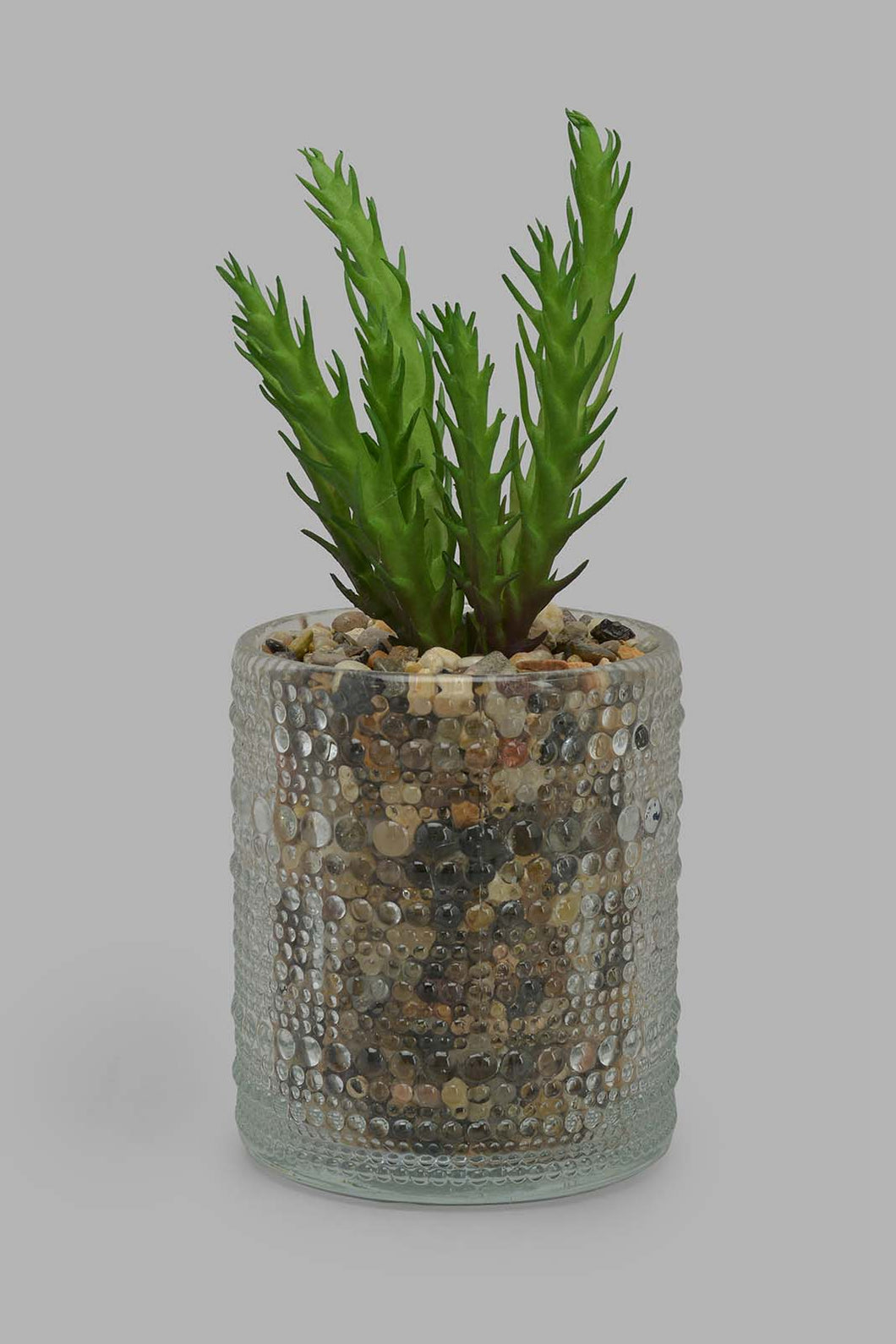 Redtag-Artificial-Succulent-In-Clear-Glass-Pot-Category:Plants-&-Flowers,-Colour:Multicolour,-Filter:Home-Decor,-HMW-HOM-Decorative-Accessories,-New-In,-New-In-HMW-HOM,-Non-Sale,-Section:Homewares,-W22O-Home-Decor-