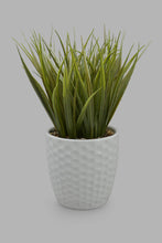 Load image into Gallery viewer, Redtag-Artificial-Plant-In-White-Ceramic-Pot-Category:Plants-&amp;-Flowers,-Colour:White,-Filter:Home-Decor,-HMW-HOM-Decorative-Accessories,-New-In,-New-In-HMW-HOM,-Non-Sale,-Section:Homewares,-W22O-Home-Decor-
