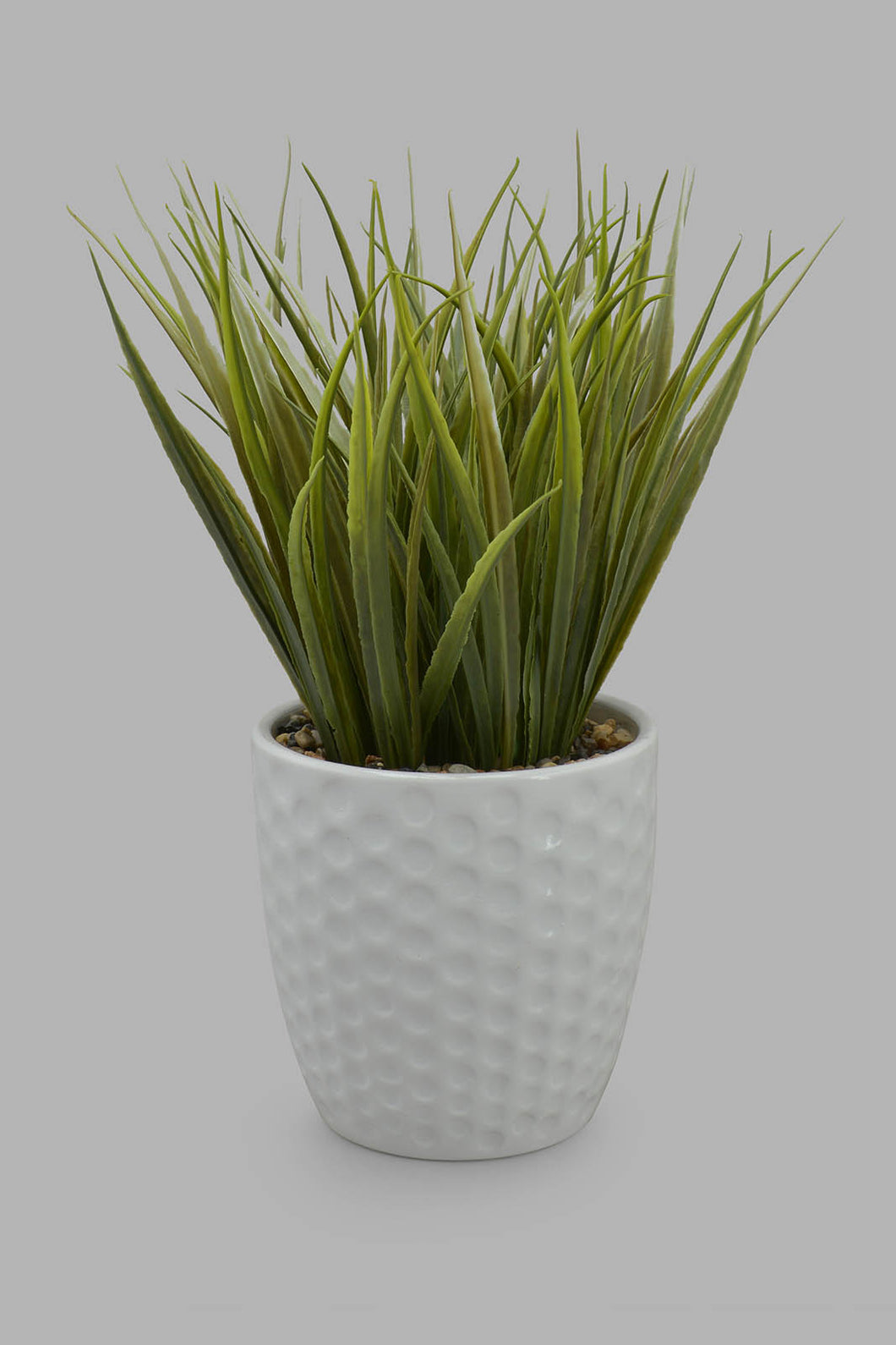 Redtag-Artificial-Plant-In-White-Ceramic-Pot-Category:Plants-&-Flowers,-Colour:White,-Filter:Home-Decor,-HMW-HOM-Decorative-Accessories,-New-In,-New-In-HMW-HOM,-Non-Sale,-Section:Homewares,-W22O-Home-Decor-