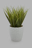 Redtag-Artificial-Plant-In-White-Ceramic-Pot-Category:Plants-&-Flowers,-Colour:White,-Filter:Home-Decor,-HMW-HOM-Decorative-Accessories,-New-In,-New-In-HMW-HOM,-Non-Sale,-Section:Homewares,-W22O-Home-Decor-