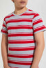 Redtag-Grey-Melange-Striped-T-Shirt-Striped-T-Shirts-Senior-Boys-9 to 14 Years
