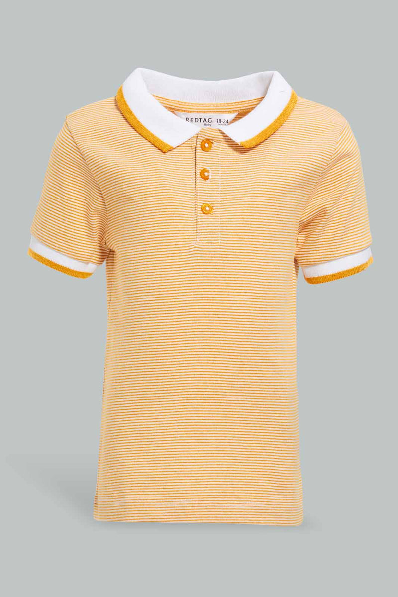 Redtag-Yellow-Yd-Pin-Striped-Polo-Short-Slv-With-Color-Tipping-Polo-Shirts-Infant-Boys-3 to 24 Months